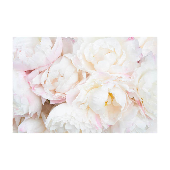 Clamping picture "Peonies white"