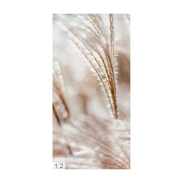 Clamping picture "Pampas grass"