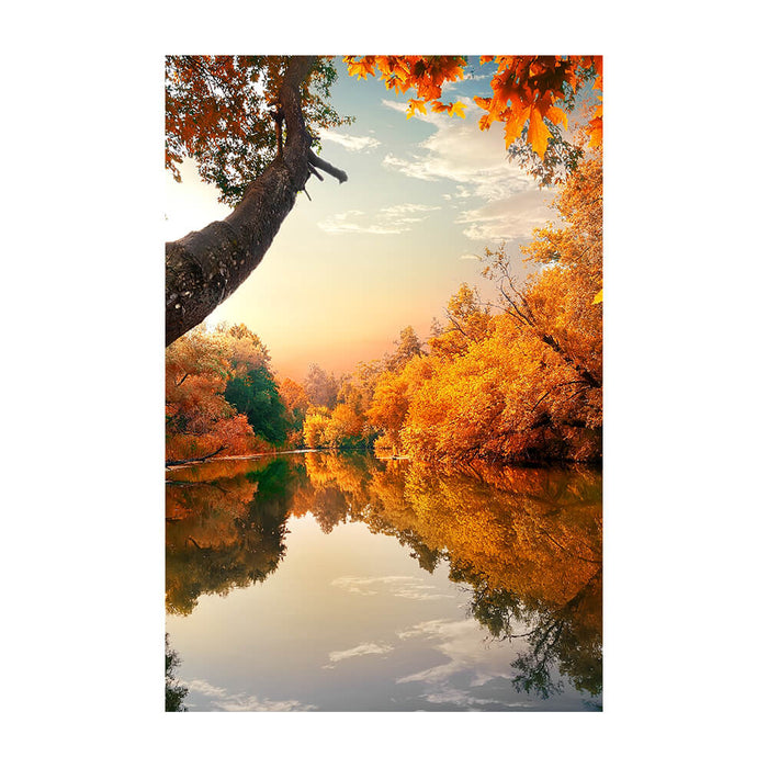 Spannbild "Orange Autumn"